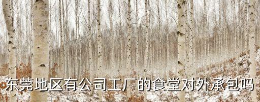 東莞企石金山食堂承包，我公司想開(kāi)辦自己的職工食堂需要承包方案