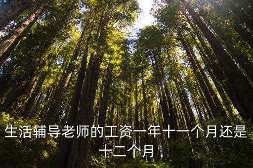 生活輔導(dǎo)老師的工資一年十一個月還是十二個月