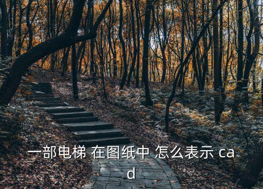 電梯圖紙，電梯圖紙?jiān)跊]看易懂