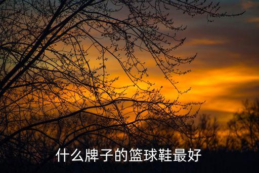 籃球鞋哪個牌子好，籃球鞋哪個牌子好