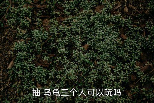 抽 烏龜三個人可以玩嗎