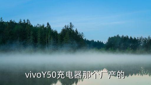 vivoY50充電器那個(gè)廠產(chǎn)的