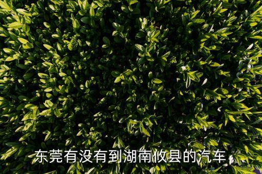 東莞到湖南攸縣長途客車什么時間，東莞到攸縣長途汽車
