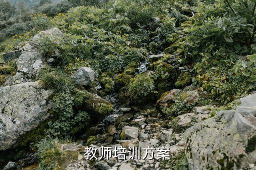 教師培訓計劃方案，中小學教師國家級培訓計劃的培訓計劃