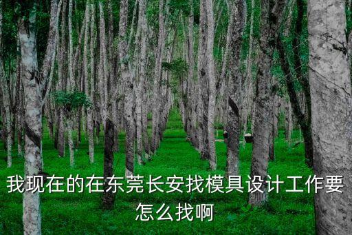 我現在的在東莞長安找模具設計工作要怎么找啊