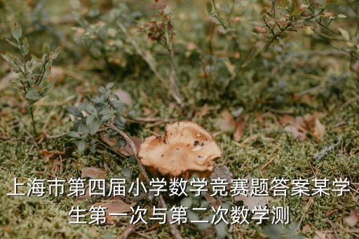 上海市第四屆小學龍文化，春節(jié)去哪玩好