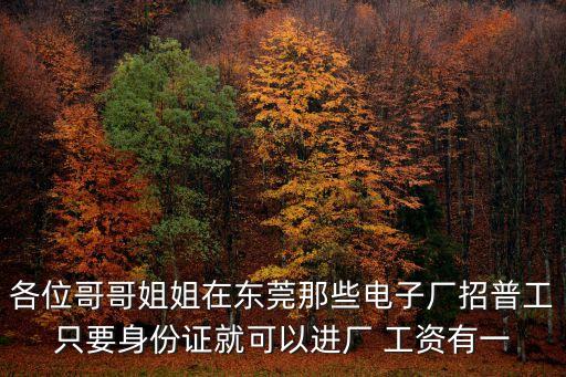 各位哥哥姐姐在東莞那些電子廠招普工只要身份證就可以進廠 工資有一