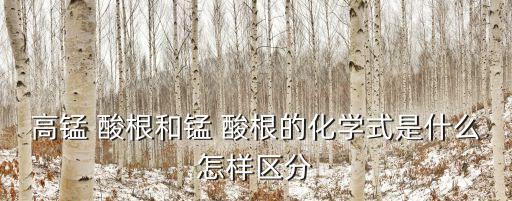 高錳 酸根和錳 酸根的化學(xué)式是什么怎樣區(qū)分
