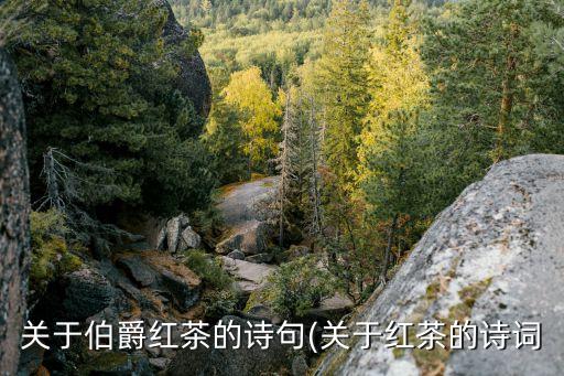 六羨歌,關于紅茶的詩《山泉飲茶有懷》