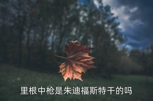 里根遇刺案，美國八十年代初期一個財閥的兒子為了一個好萊塢阿姨刺殺里根總統