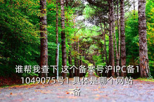 誰幫我查下 這個備案號滬IPC備11049075號1 具體是哪個網站備