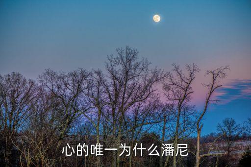 親愛的上尉,親愛of上尉:我不怪你沒在我愛人面前接電話