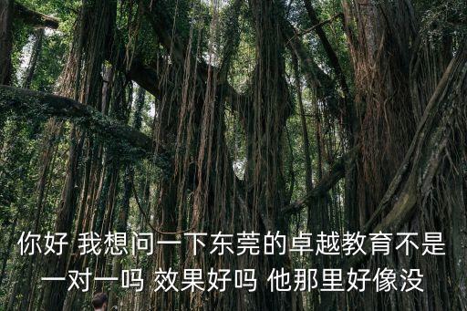 你好 我想問一下東莞的卓越教育不是一對一嗎 效果好嗎 他那里好像沒