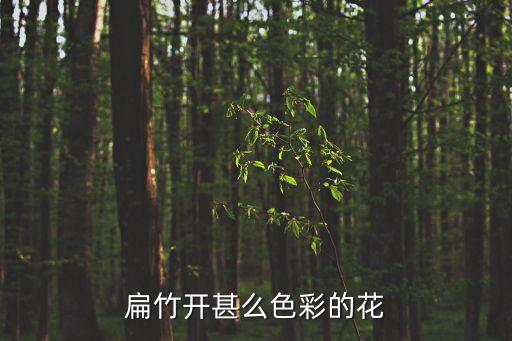 扁竹，扁加個竹字頭怎么讀
