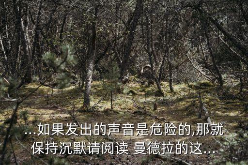曼德拉語錄,為種族平等而斗爭的人權領袖曼德拉自傳