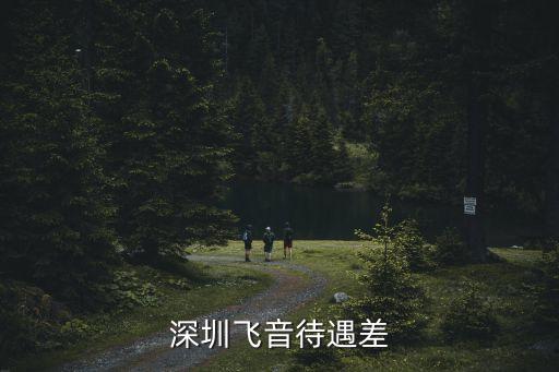 張東明,深圳殷飛科技有限公司申請破產