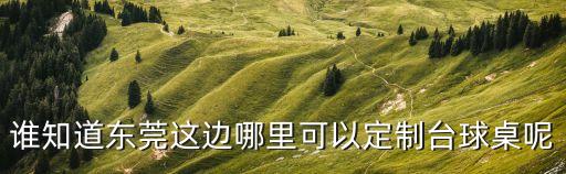 誰知道東莞這邊哪里可以定制臺球桌呢