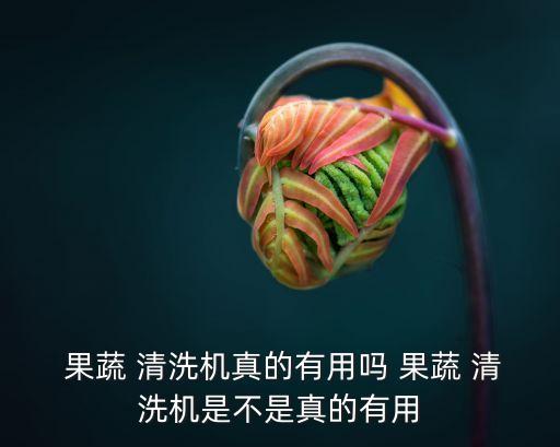  果蔬 清洗機(jī)真的有用嗎 果蔬 清洗機(jī)是不是真的有用