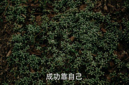成功靠自己，成功靠自己