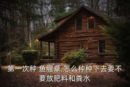 魚腥草怎么種植,怎么種魚腥草才能根莖繁殖?看這里!