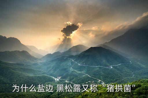黑松露菌,法國黑松露菌與鵝肝魚子醬并列世界三大美食之一