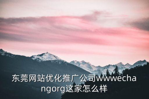 東莞網站優化推廣公司wwwechangorg這家怎么樣