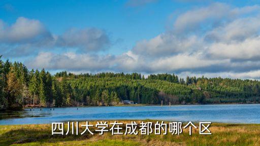 四川大學,四川大學師生云集學科門類齊全
