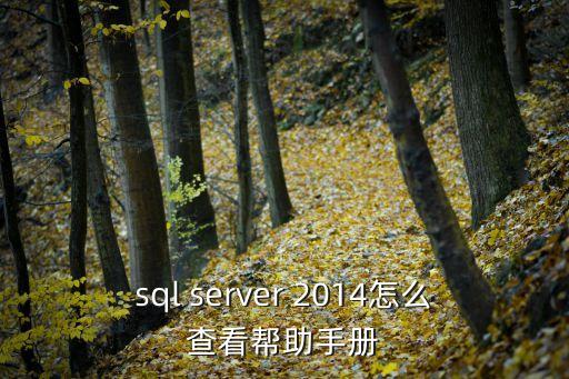 sql server 2014怎么查看幫助手冊(cè)