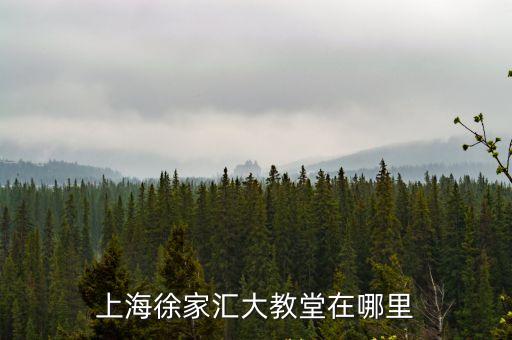上海市天主教徐加匯堂，徐家匯天主教堂