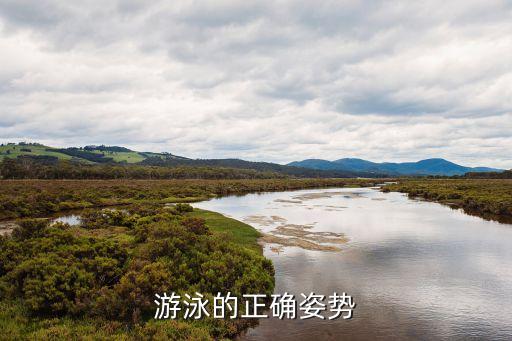 游泳姿勢，正確的游泳姿勢