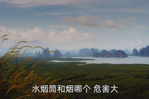  水煙筒和煙哪個 危害大