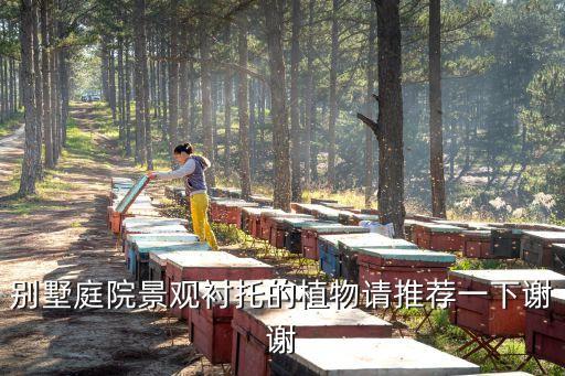 庭院植物，什么植物適合在院子里種什么植物適合在屋子里樣它們各有什么作
