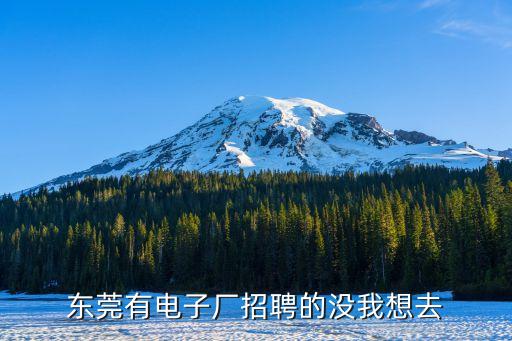 東莞有電子廠招聘的沒我想去