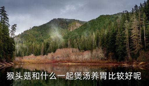 猴頭菇養胃湯，猴頭菇龍骨湯養胃怎么做