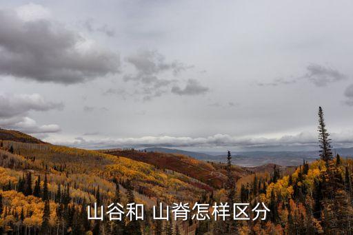 山脊和山谷的區別,三大不同類型地貌之一:山谷和平原地形之一