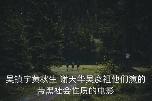 東莞仔和吳彥祖合作的電影，吳彥祖成龍演的電影叫什么吳彥主在里面演警察的兒子組織的團體專
