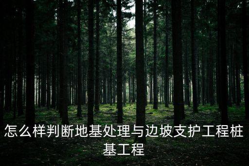 怎么樣判斷地基處理與邊坡支護(hù)工程樁基工程