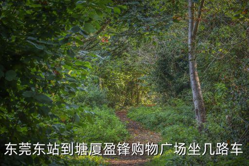 東莞盈鋒商場(chǎng)，塘廈鎮(zhèn)盈峰購(gòu)物廣物即塘廈鎮(zhèn)沃爾瑪是哪省的