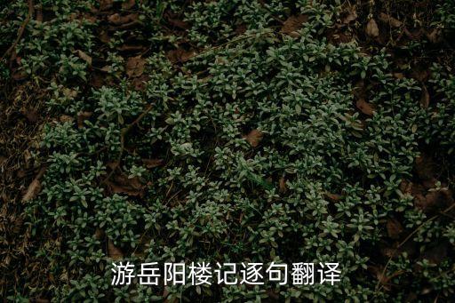 游岳陽(yáng)樓記，游岳陽(yáng)樓記逐句翻譯