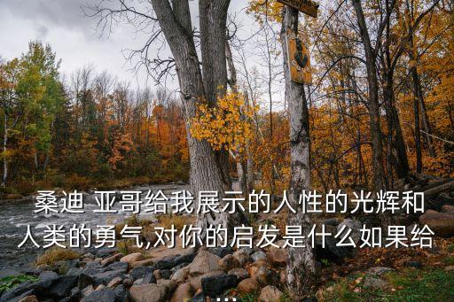  桑迪 亞哥給我展示的人性的光輝和人類的勇氣,對(duì)你的啟發(fā)是什么如果給...