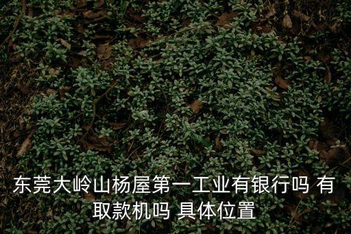東莞熔噴布機(jī)現(xiàn)場指導(dǎo)，東莞大嶺山楊屋第一工業(yè)有銀行嗎 有取款機(jī)嗎 具體位置