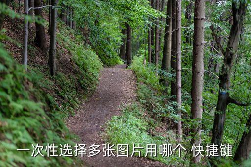 一次性選擇多張圖片用哪個 快捷鍵