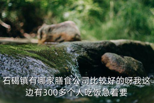 石碣鎮(zhèn)有哪家膳食公司比較好的呀我這邊有300多個人吃飯急著要