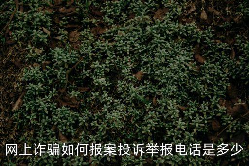 網上舉報怎么舉報，12315網上投訴應該怎樣投訴