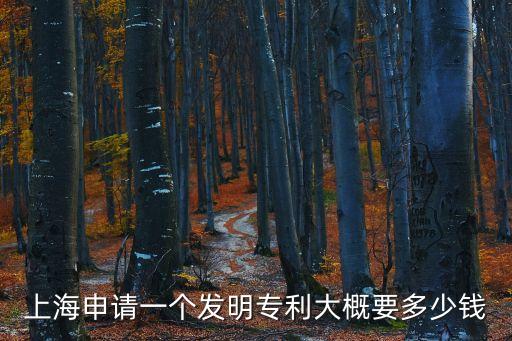 上海申請一個發明專利大概要多少錢