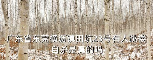 廣東省東莞橫瀝鎮田坑23號有人跳樓自殺是真的嗎