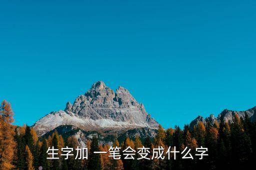 生字加 一筆會變成什么字