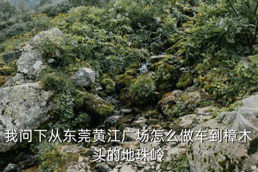 我問下從東莞黃江廣場怎么做車到樟木頭的地珠嶺