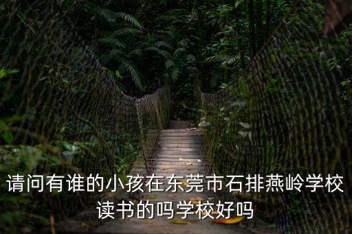 請問有誰的小孩在東莞市石排燕嶺學校讀書的嗎學校好嗎