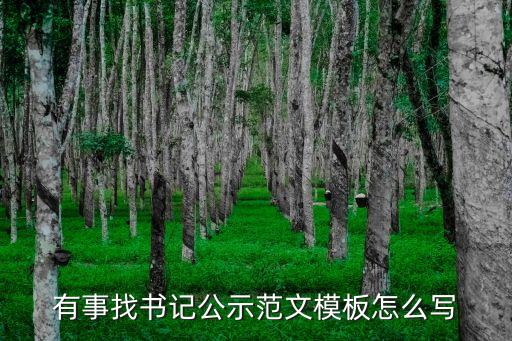 公示模板，捐款公示怎么寫